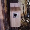 birdhouse - Image 2