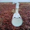ERCO Parscan Spotlight with cross-baffle - Image 5